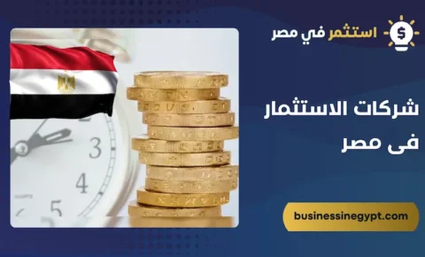 شركات الاستثمار فى مصر