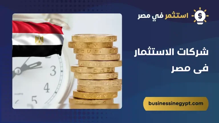 شركات الاستثمار فى مصر