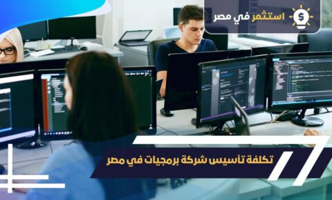 تكلفة تأسيس شركة برمجيات في مصر