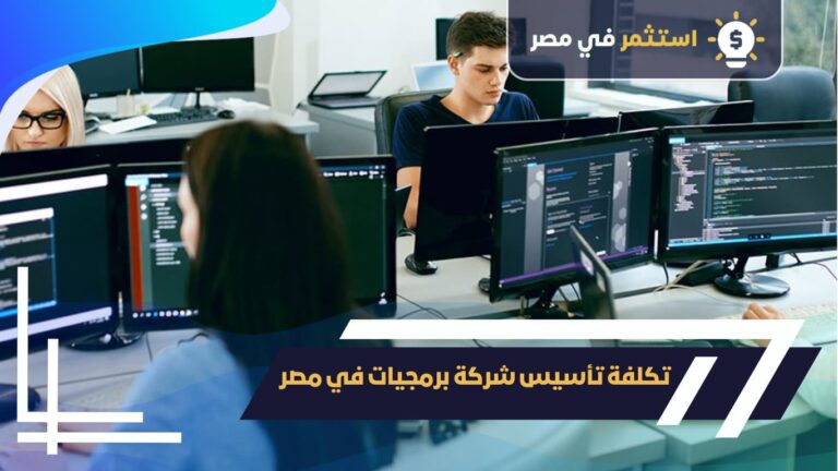 تكلفة تأسيس شركة برمجيات في مصر