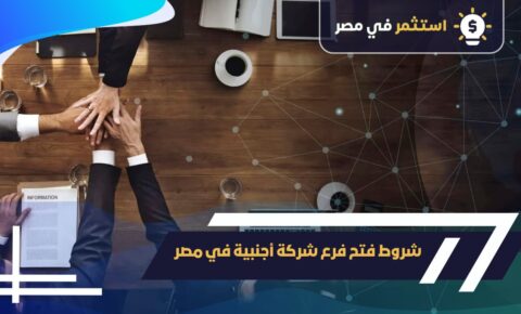 شروط فتح فرع شركة أجنبية في مصر خطوة بخطوة,2025