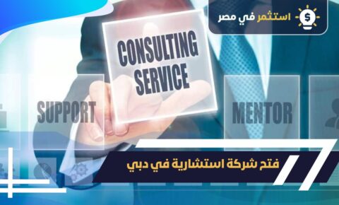 فتح شركة استشارية في دبي