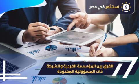 الفرق بين المؤسسة وشركة محدودة