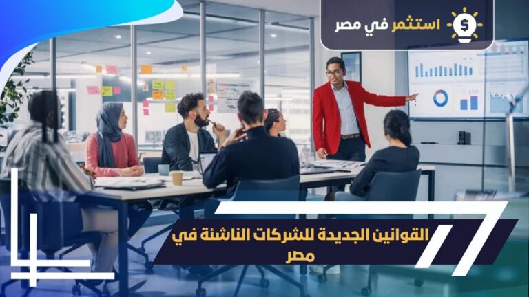 القوانين الجديدة للشركات الناشئة في مصر