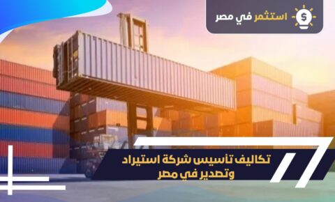 تكاليف تأسيس شركة استيراد وتصدير بمصر