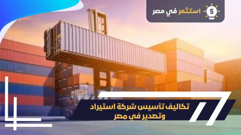 تكاليف تأسيس شركة استيراد وتصدير بمصر