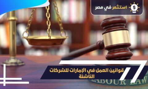 قوانين عمل الإمارات للشركات الناشئة