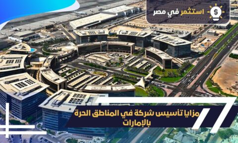 مزايا تأسيس شركة في المناطق الحر