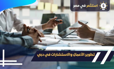 تطوير الأعمال والاستشارات في دبي