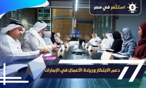 دعم الابتكار وريادة الأعمال في الإمارات