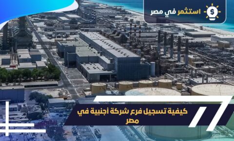 كيفية تسجيل فرع شركة أجنبية في مصر