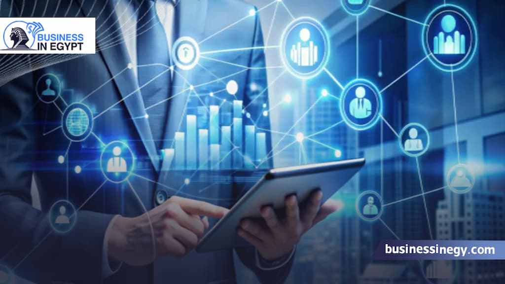 تخصصات البزنس في الجامعات المصرية