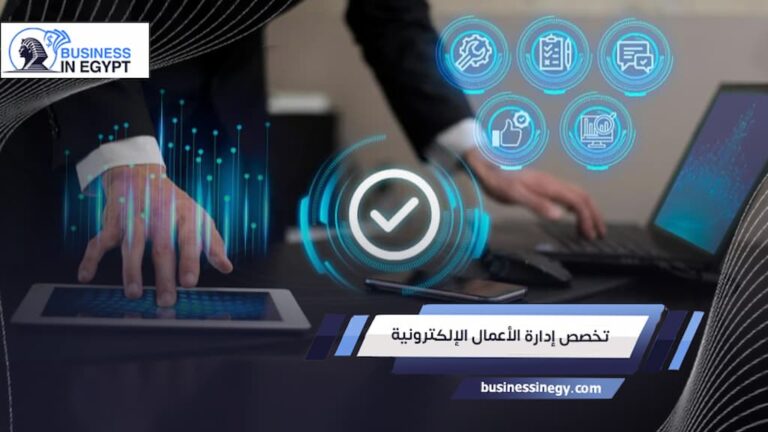تخصص إدارة الأعمال الإلكترونية