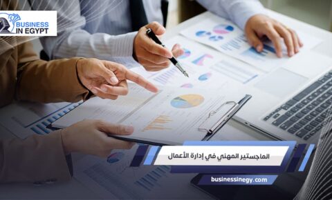 الماجستير المهني في إدارة الأعمال