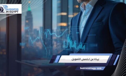 نبذة عن تخصص التمويل